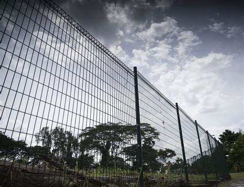 wire mesh for fencing